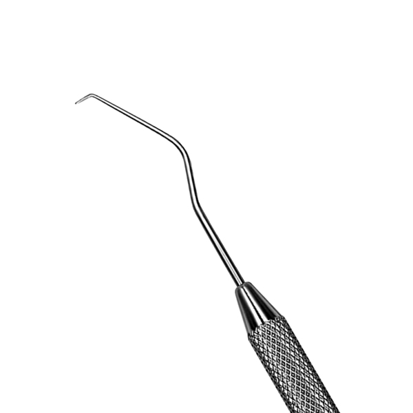 4772205.jpg
